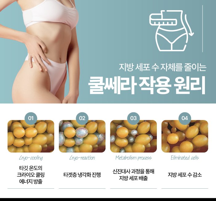 쿨쎄라 작용 원리 — 지방세포 수 자체를 줄입니다