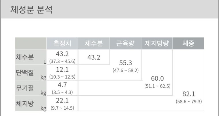 치료 후 인바디 체성분 분석 — 체중 82.1kg, 체지방 22.1kg, 근육량 55.3kg