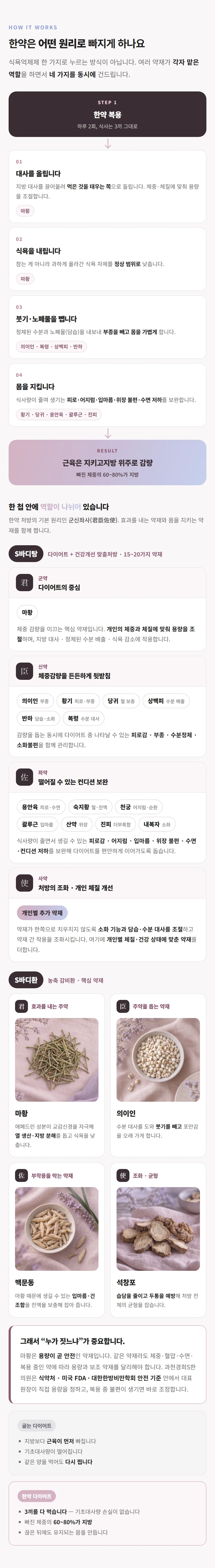 한방다이어트 · 한약 원리 — 대사·식욕·붓기·컨디션을 함께 조절